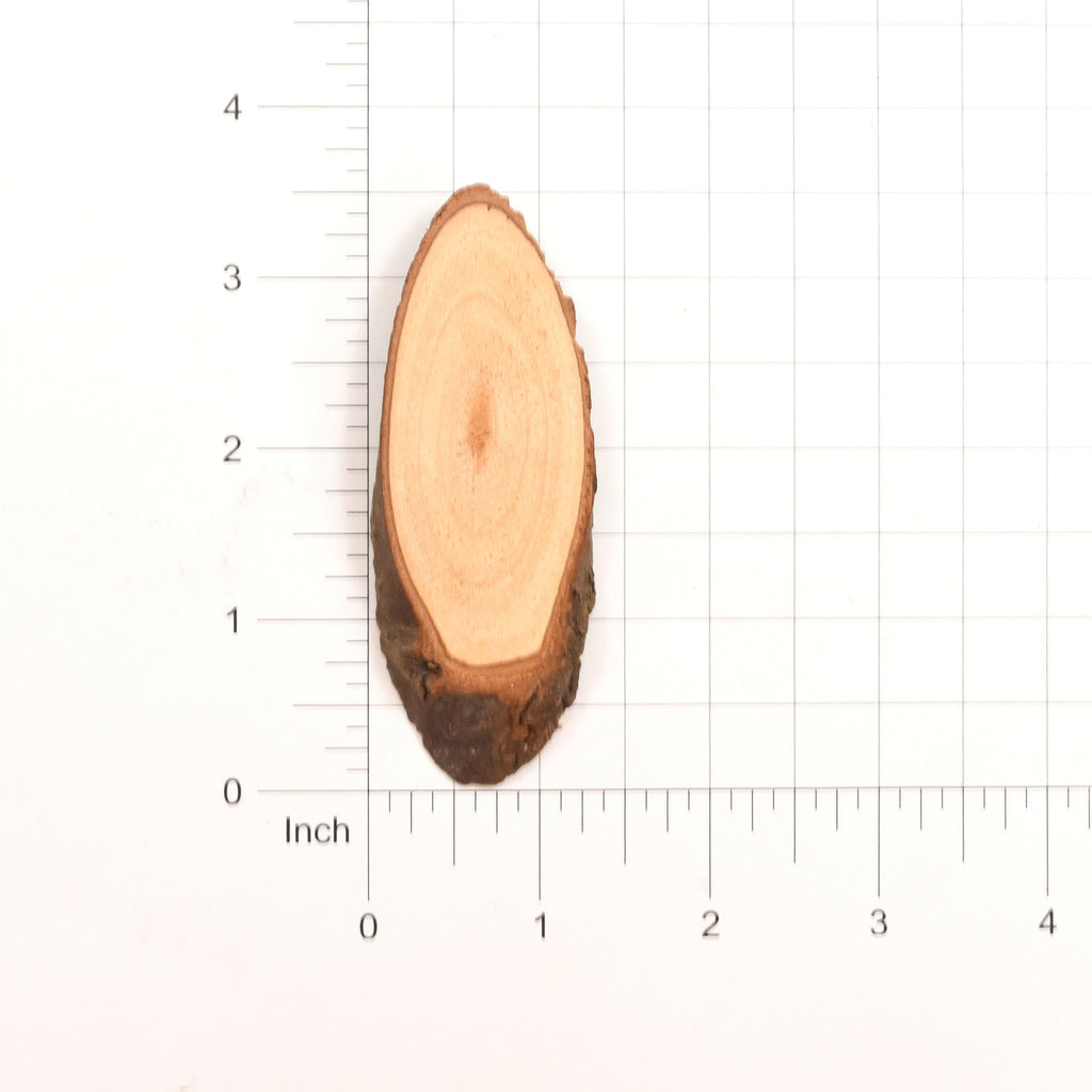Craft Wood Slices - Oval, Small - 3, 5Pc