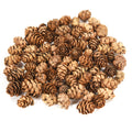 Pine Cone - 1, 50gm