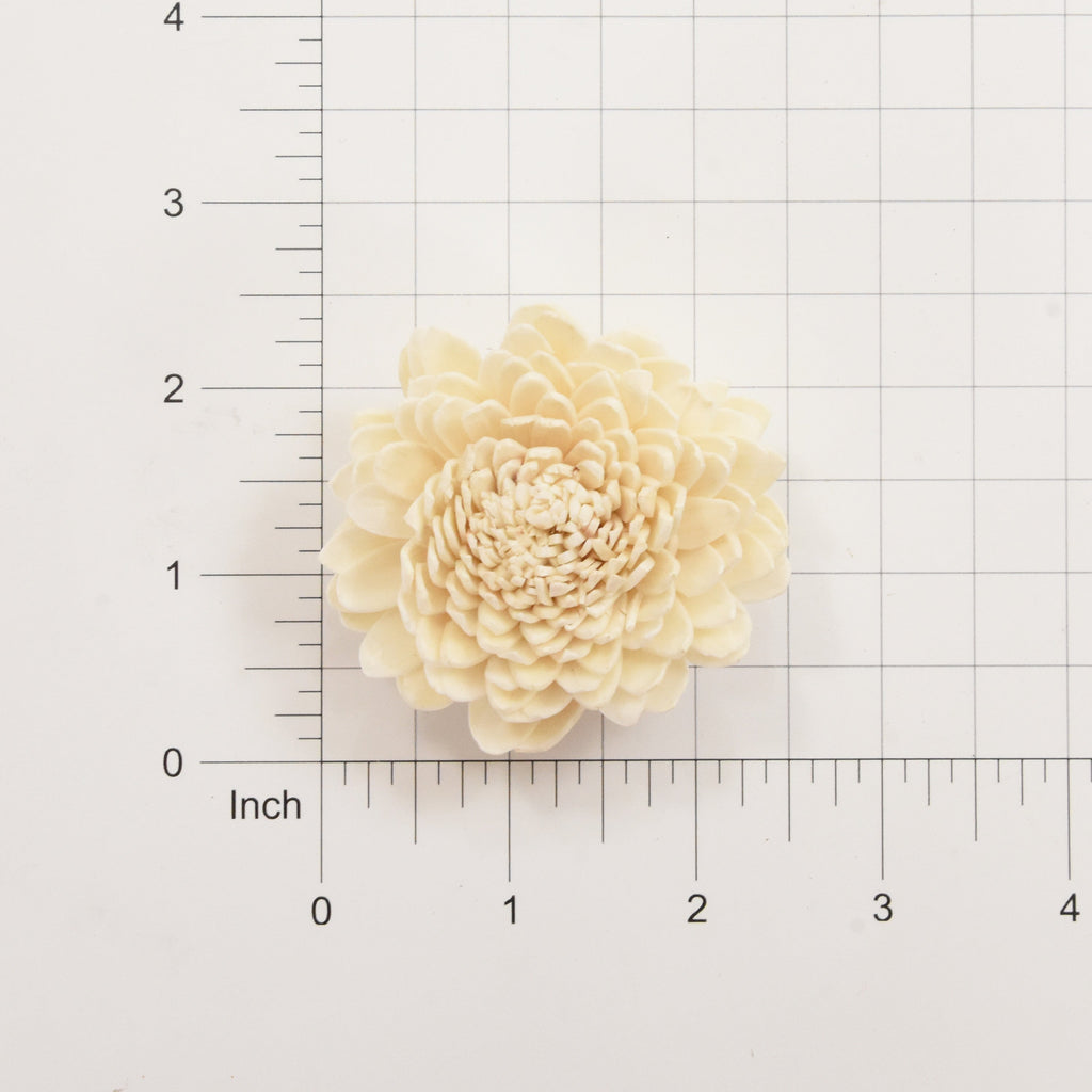 Sola Flower- Chrysanthemum, 2Pc