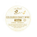 Colored Craft Wire 0.4 Mm Silver 10Mtrs 1Pc Roll Ib