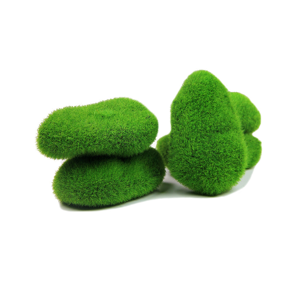 Moss Balls 5Pc Ib