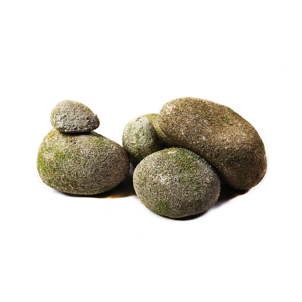 Rock Natural 6pc