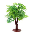 Neem Tree 90 mm 1pc