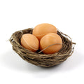Bird Nest W/ 3 Egg 2inch 1pc