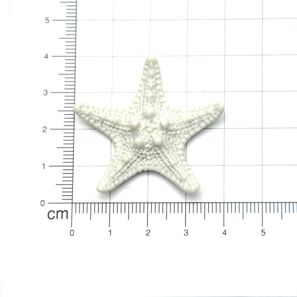 Miniatures Star Fish 1Pc Ib