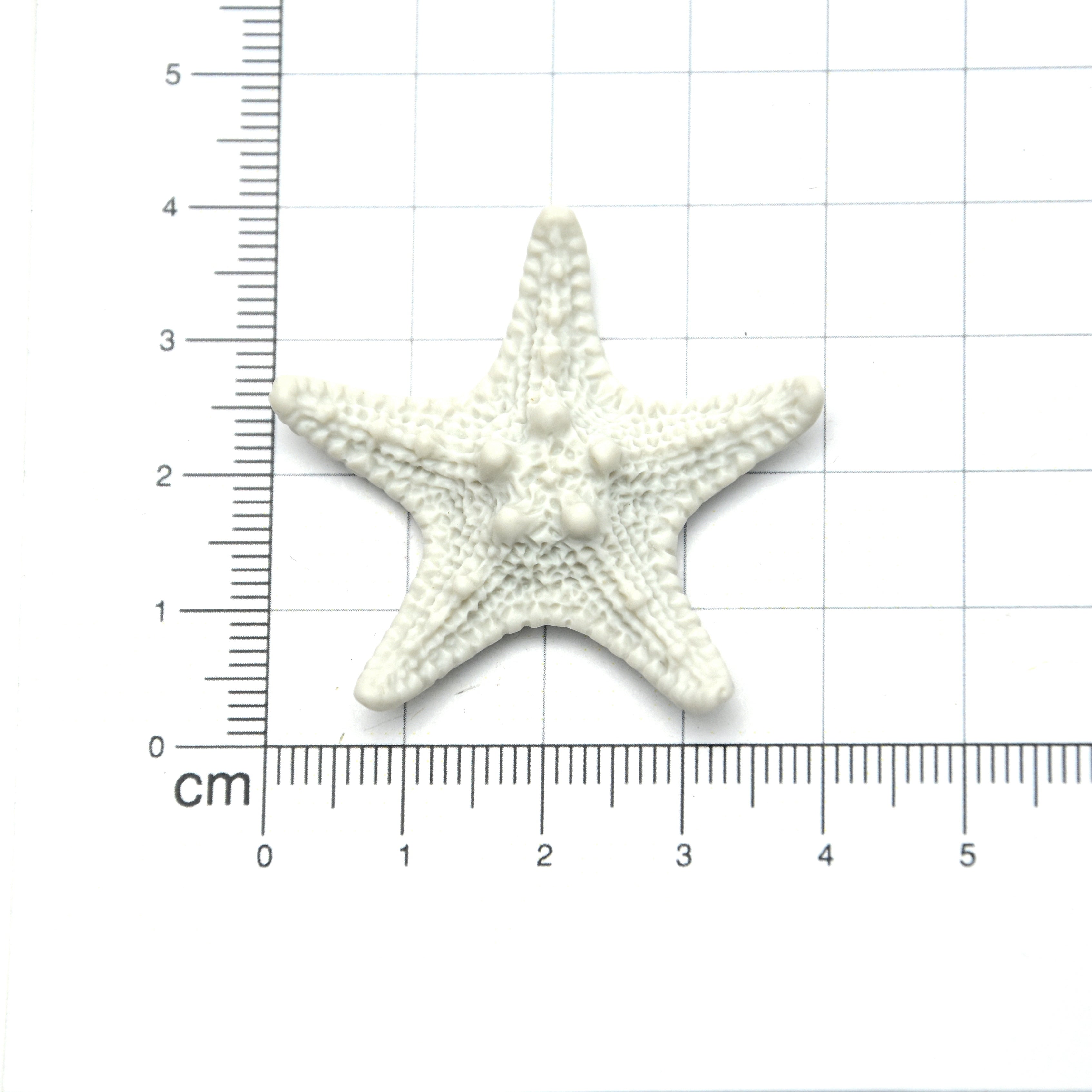 Miniatures Star Fish 1Pc Ib