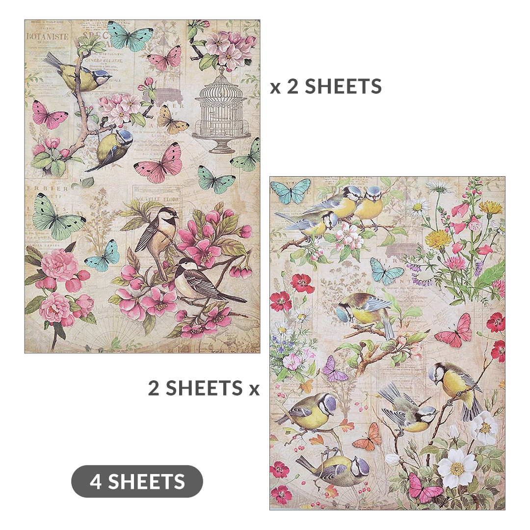 Decoupage Paper A4 Robin Garden/ Chirpy Robbins 4 Sheets Lb