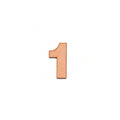MDF Numerical 1 1inch 2mm Thick 1pc