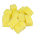 Sponge Blending Rectangle 10Pcs Lb