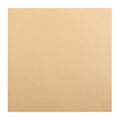 Card Stock Matte Embossed 220Gsm 12Inch X 12Inch Buffalo Light Brown  1Sheet Lb