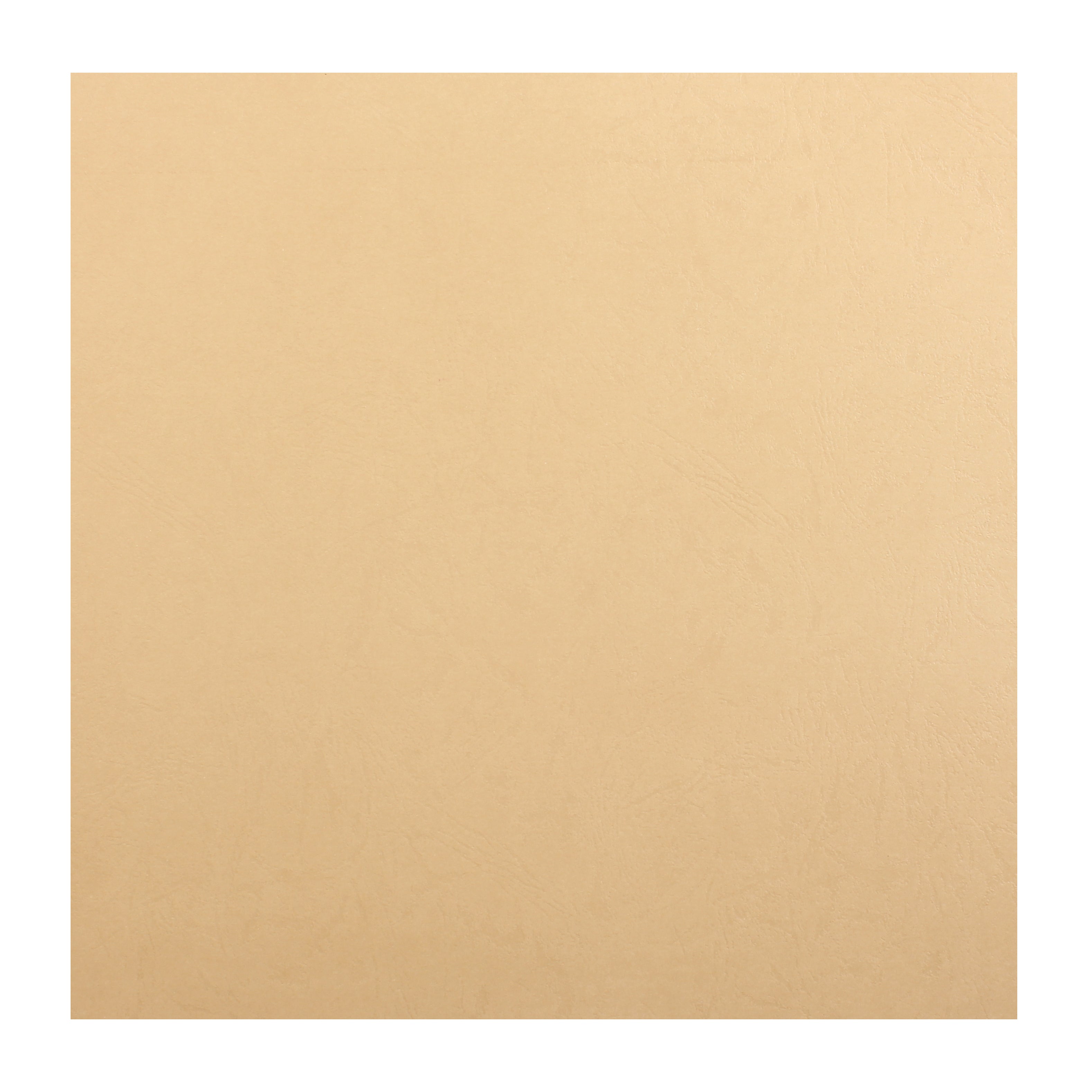 Card Stock Matte Embossed 220Gsm 12Inch X 12Inch Buffalo Light Brown  1Sheet Lb