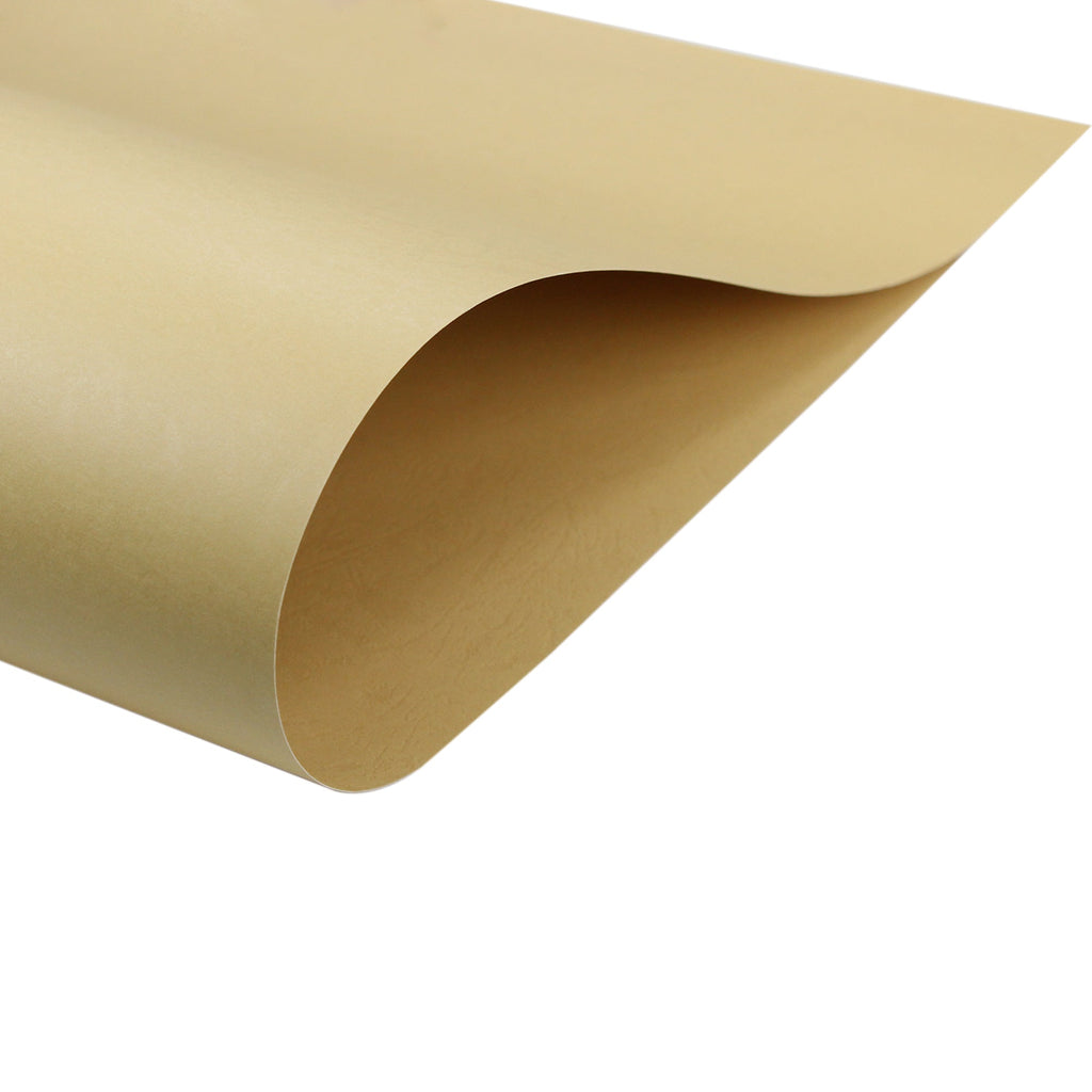Card Stock Matte Embossed 220Gsm 31Inch X 21Inch Buffalo Light Brown 1Sheet Lb