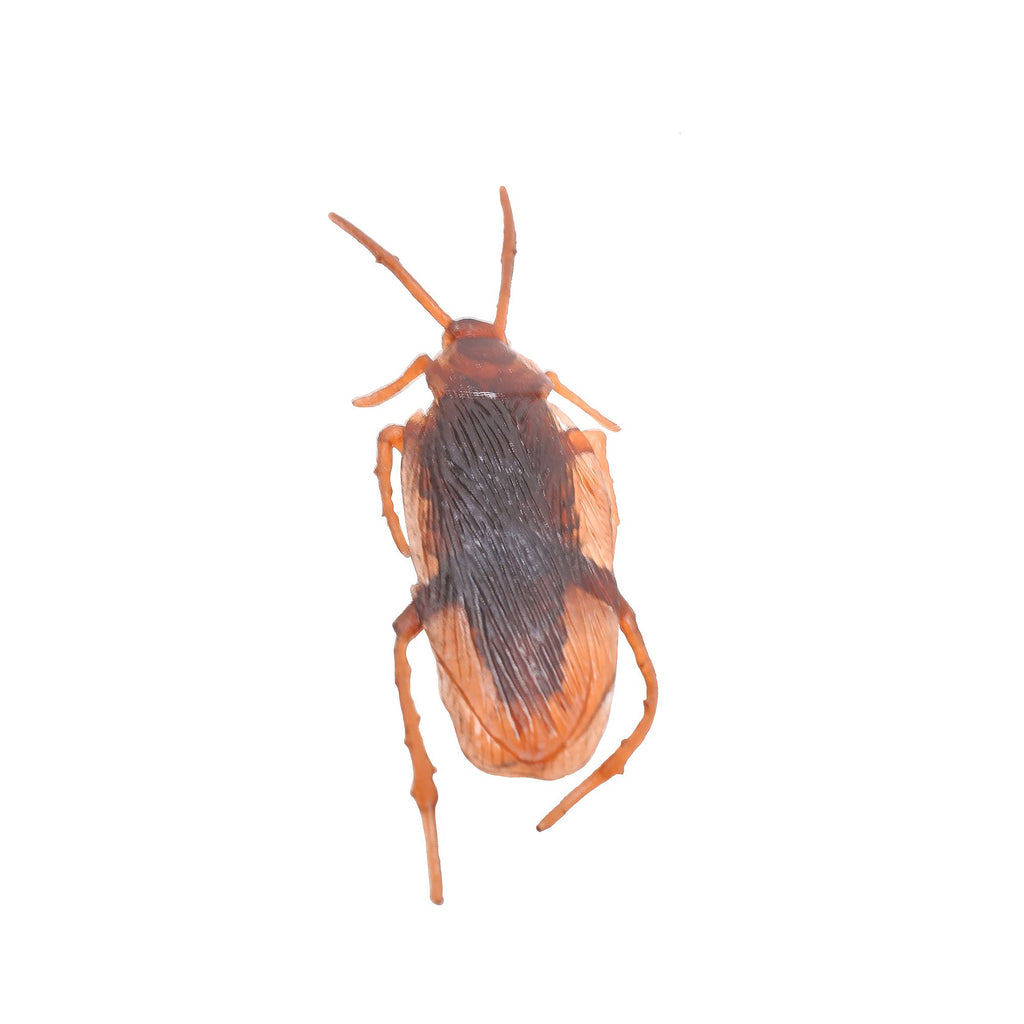 Faux Cockroach 10Pc