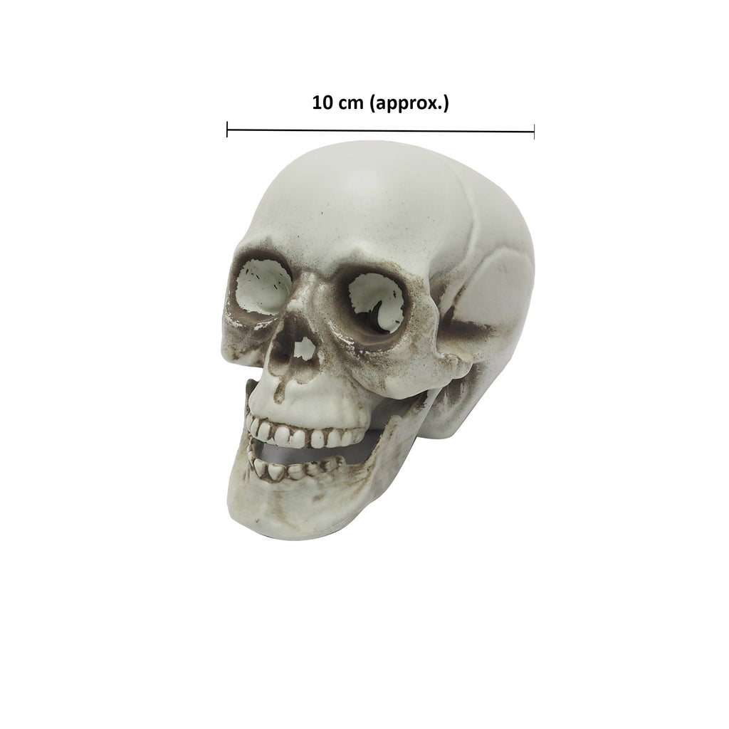 Skull Decor 10cm