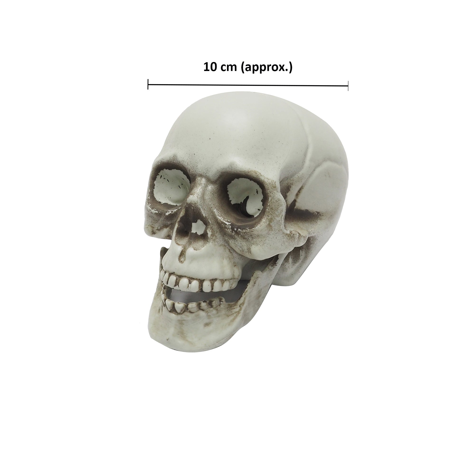 Skull Decor 10cm