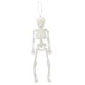 Hanging Skeleton 30cm Transparent