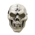 Skull Mask