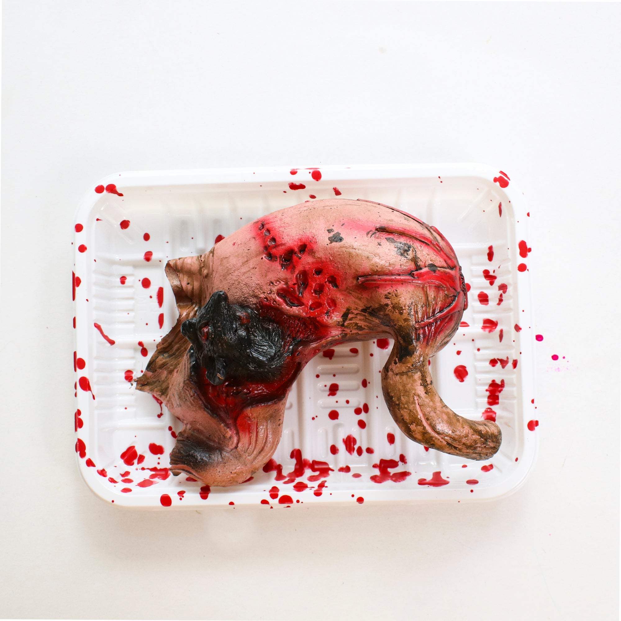 Chop Shop On Tray Stomach In Side Rat