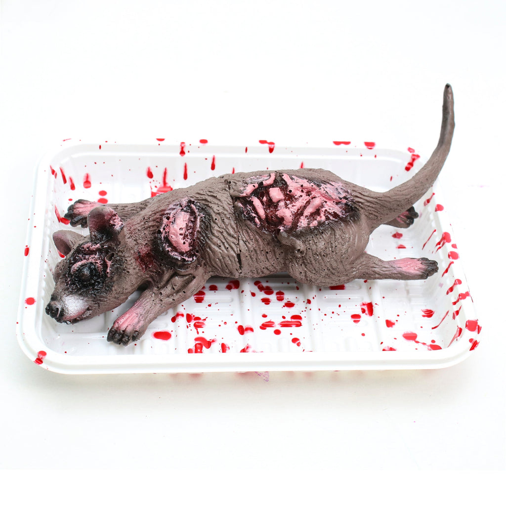 Chop Shop On Tray Rat