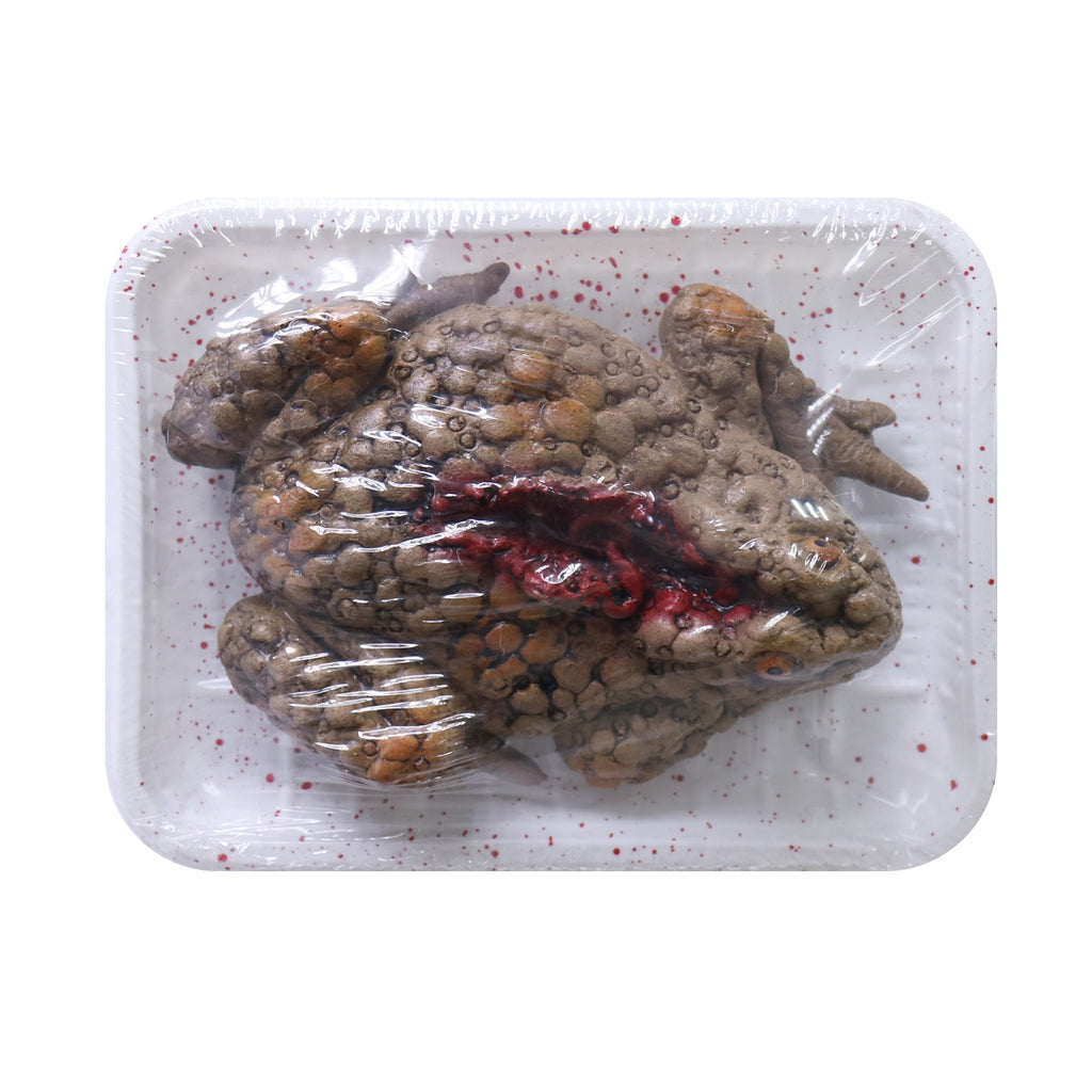 Chop Shop On Tray Frog