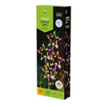 Solar LED Star Path Lights - 4pc Multi Colour