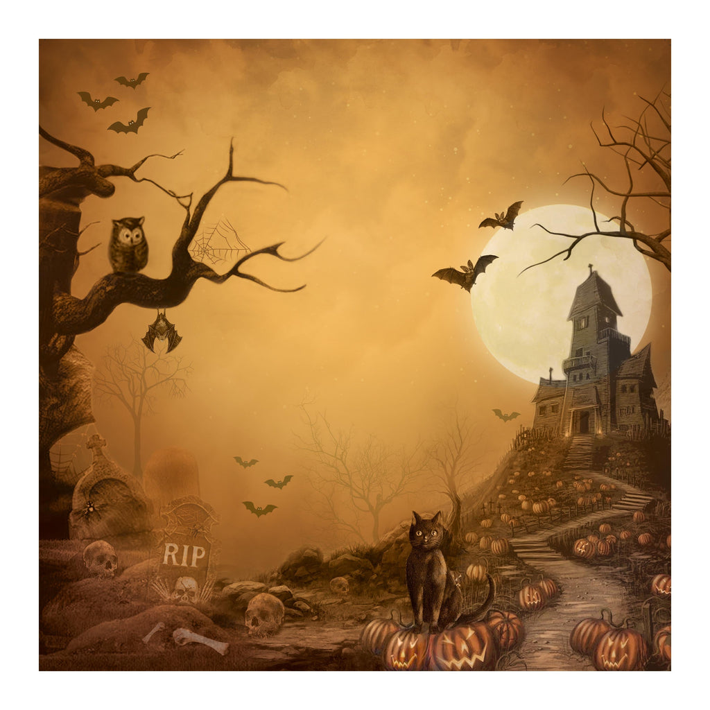 12 x12 inch Printed Cardstock pack- Halloween, 12 Sheets, 12 Designs, 250 gsm