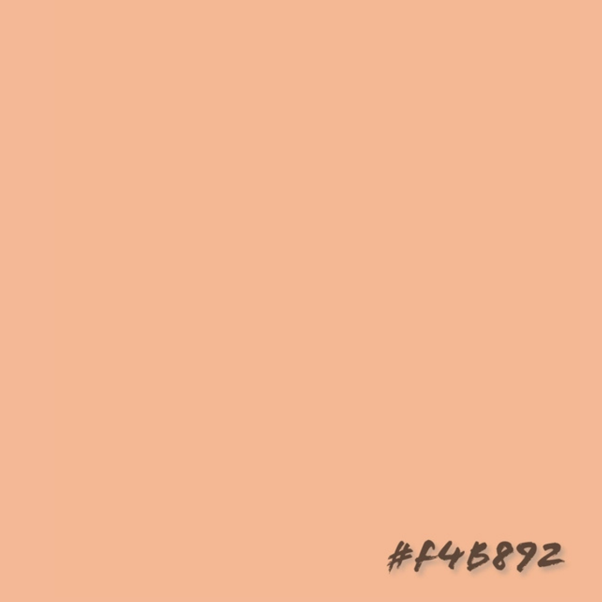 Graffiti Spray Paint Salmon Pink 400ml Bottle